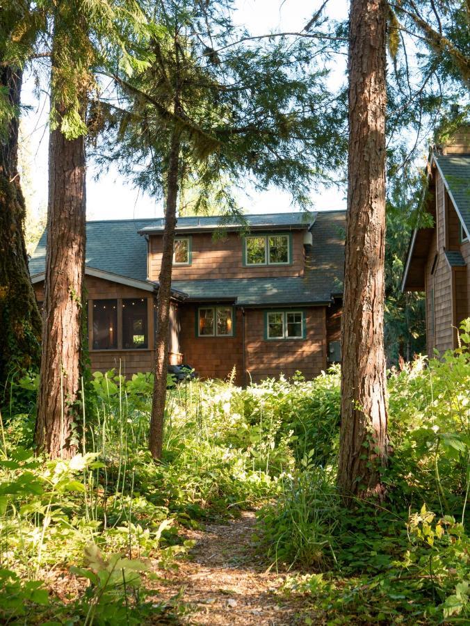 On The River Wooded Bliss Cabin Near Loloma McKenzie Bridge Exterior foto